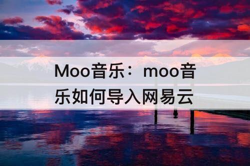 Moo音乐：moo音乐如何导入网易云