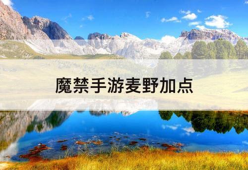 魔禁手游麦野加点
