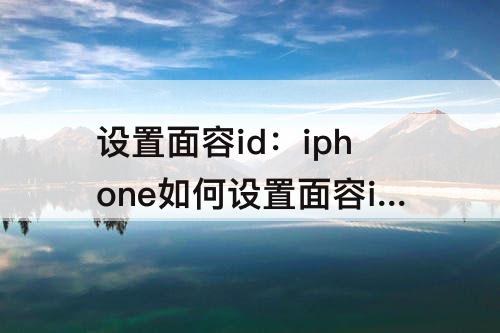 设置面容id：iphone如何设置面容id输入不了