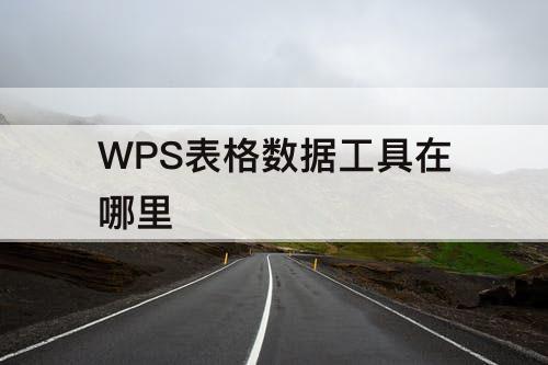 WPS表格数据工具在哪里