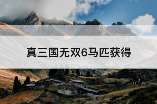 真三国无双6马匹获得