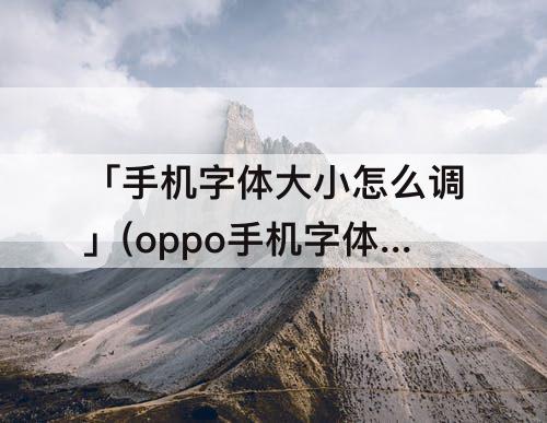「手机字体大小怎么调」(oppo手机字体大小怎么调)