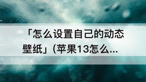 「怎么设置自己的动态壁纸」(苹果13怎么设置自己的动态壁纸)
