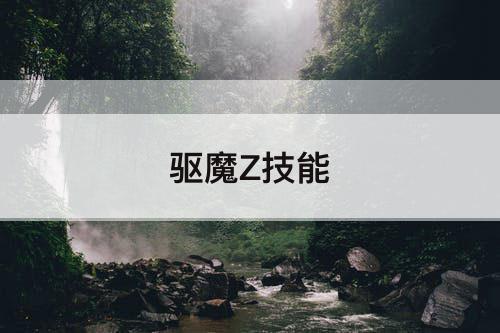 驱魔Z技能