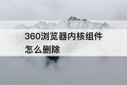 360浏览器内核组件怎么删除