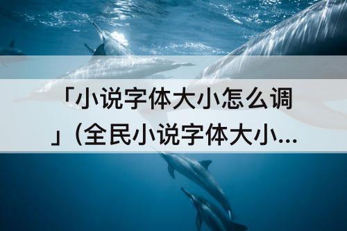 「小说字体大小怎么调」(全民小说字体大小怎么调)