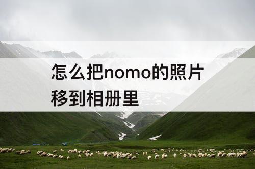 怎么把nomo的照片移到相册里