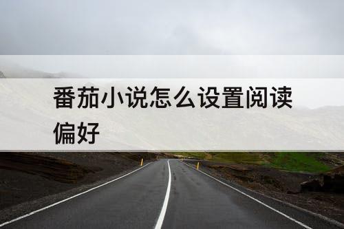 番茄小说怎么设置阅读偏好