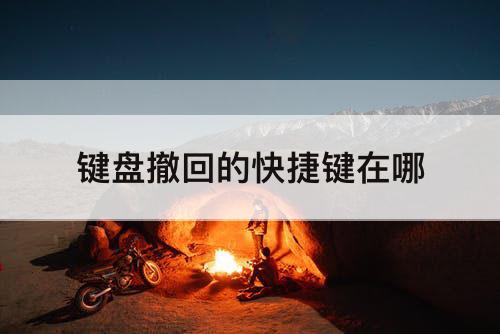 键盘撤回的快捷键在哪
