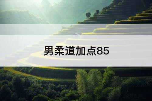 男柔道加点85