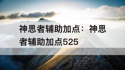 神思者辅助加点：神思者辅助加点525