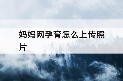 妈妈网孕育怎么上传照片