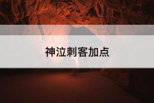 神泣刺客加点