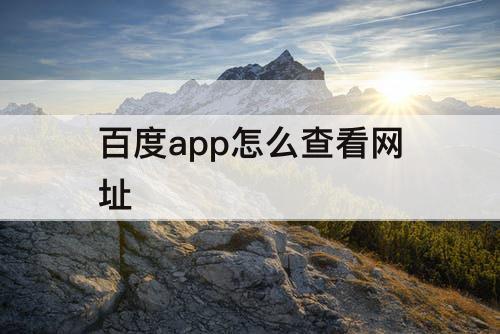 百度app怎么查看网址