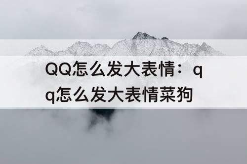 QQ怎么发大表情：qq怎么发大表情菜狗