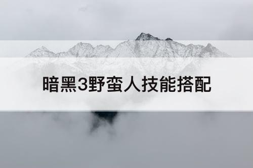 暗黑3野蛮人技能搭配