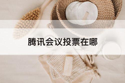腾讯会议投票在哪