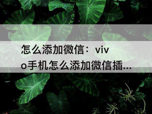 怎么添加微信：vivo手机怎么添加微信插件