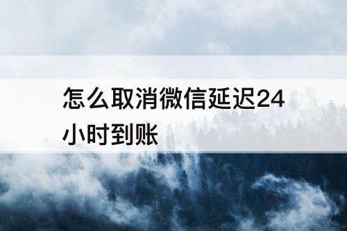 怎么取消微信延迟24小时到账