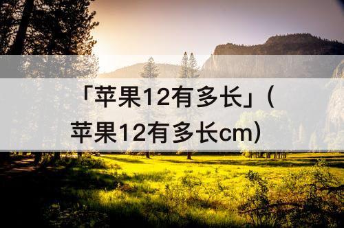 「苹果12有多长」(苹果12有多长cm)