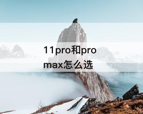 11pro和pro max怎么选