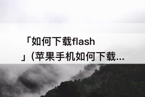 「如何下载flash」(苹果手机如何下载flash)