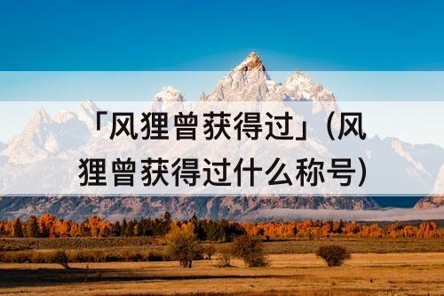 「风狸曾获得过」(风狸曾获得过什么称号)
