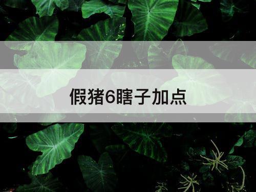 假猪6瞎子加点
