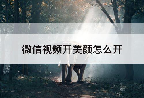 微信视频开美颜怎么开
