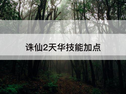 诛仙2天华技能加点