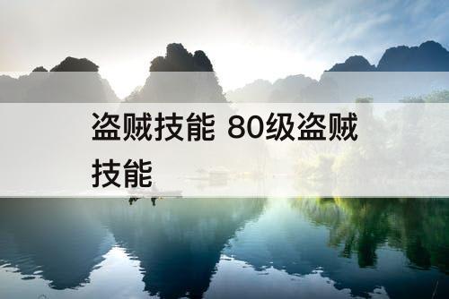 盗贼技能 80级盗贼技能