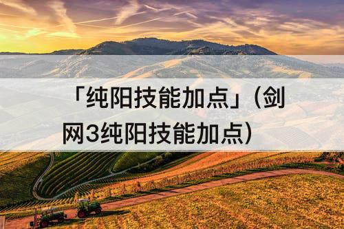 「纯阳技能加点」(剑网3纯阳技能加点)