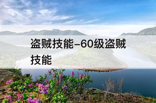 盗贼技能-60级盗贼技能