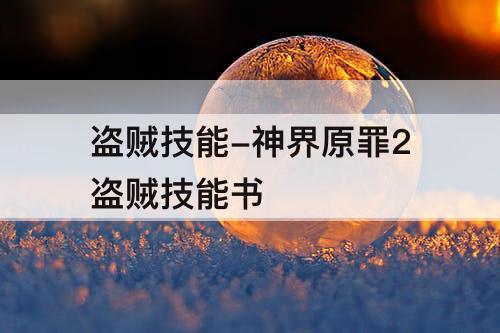 盗贼技能-神界原罪2盗贼技能书