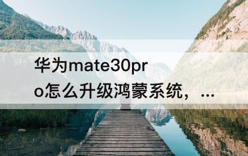 华为mate30pro怎么升级鸿蒙系统，华为mate30pro怎么升级鸿蒙系统吗