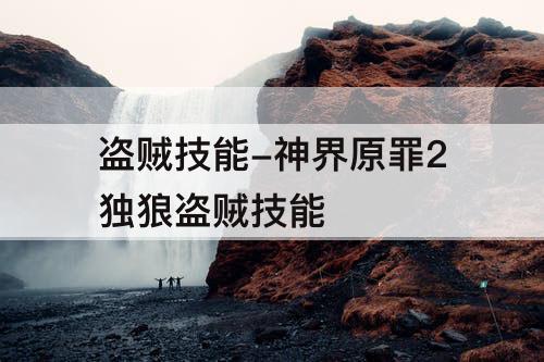盗贼技能-神界原罪2独狼盗贼技能
