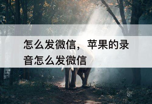 怎么发微信，苹果的录音怎么发微信