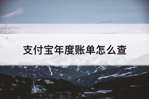 支付宝年度账单怎么查