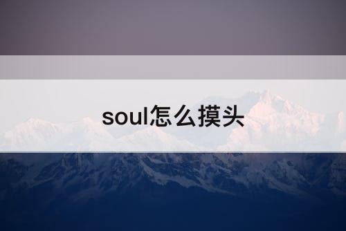 soul怎么摸头