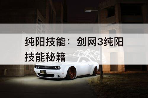 纯阳技能：剑网3纯阳技能秘籍