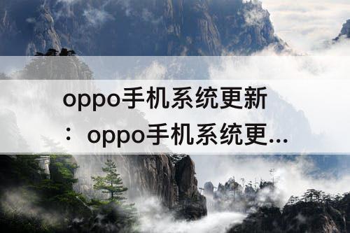 oppo手机系统更新：oppo手机系统更新12.1好不好