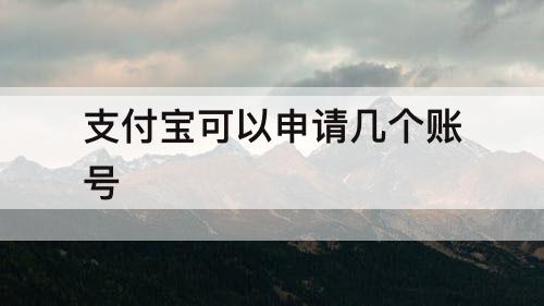 支付宝可以申请几个账号