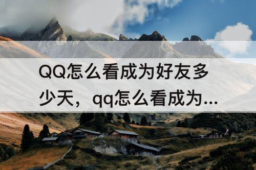 QQ怎么看成为好友多少天，qq怎么看成为好友多少天了?