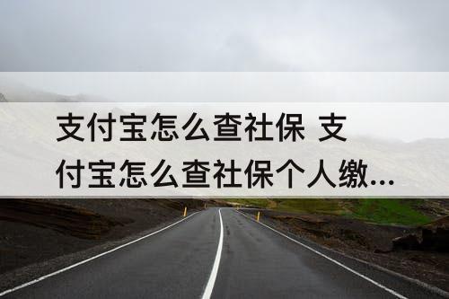 支付宝怎么查社保 支付宝怎么查社保个人缴费情况