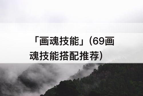 「画魂技能」(69画魂技能搭配推荐)