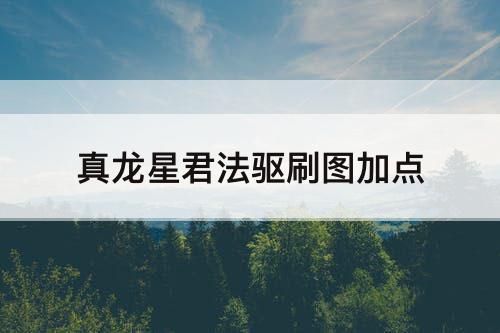 真龙星君法驱刷图加点