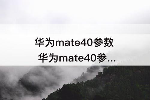 华为mate40参数 华为mate40参数配置图片