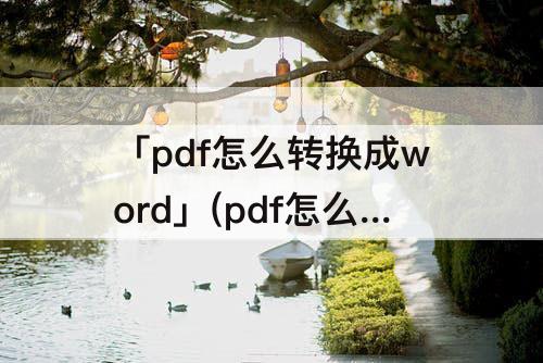 「pdf怎么转换成word」(pdf怎么转换成word免费网站)