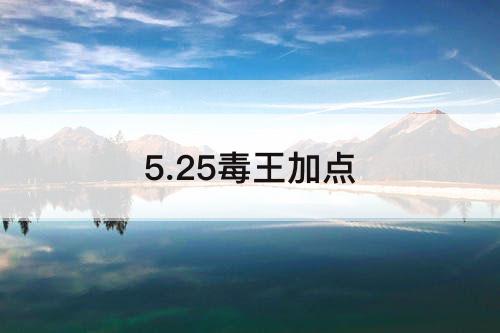 5.25毒王加点