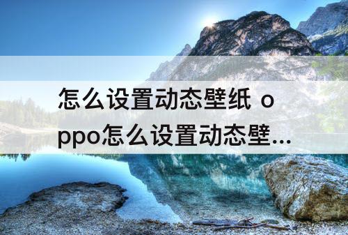 怎么设置动态壁纸 oppo怎么设置动态壁纸抖音